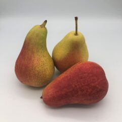 Pear - Forelle