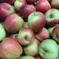 Apple - Wellant