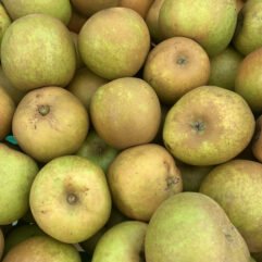 Apple - Ashmead Kernal