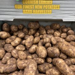 Potato - Cornish