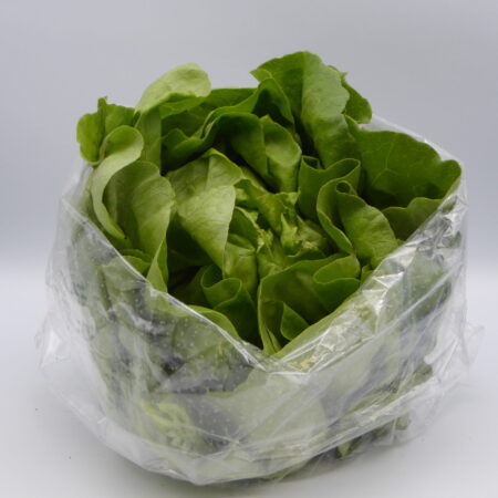 Lettuce - Round