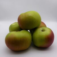 Apple - Bramley