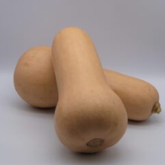 Butternut Squash