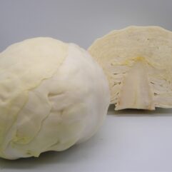 Cabbage - White