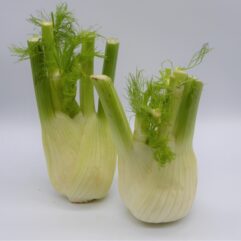 Fennel