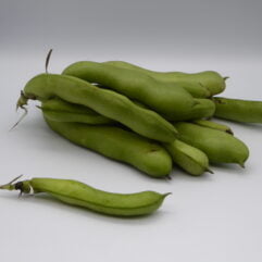 Bean - Broad