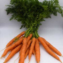 Carrot - Bunch