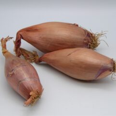 Shallot - Banana
