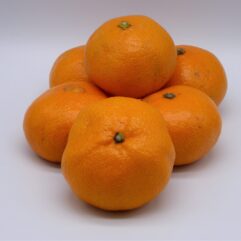 Satsuma
