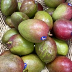 Mango