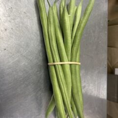 Bean - Dwarf French