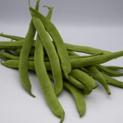Bean - Runner