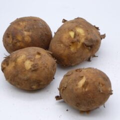 Potato - Royal Norfolk