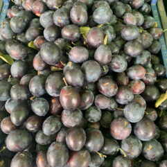 Plums - Damson