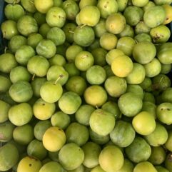 Plums - Greengage