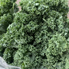 Kale - Curly